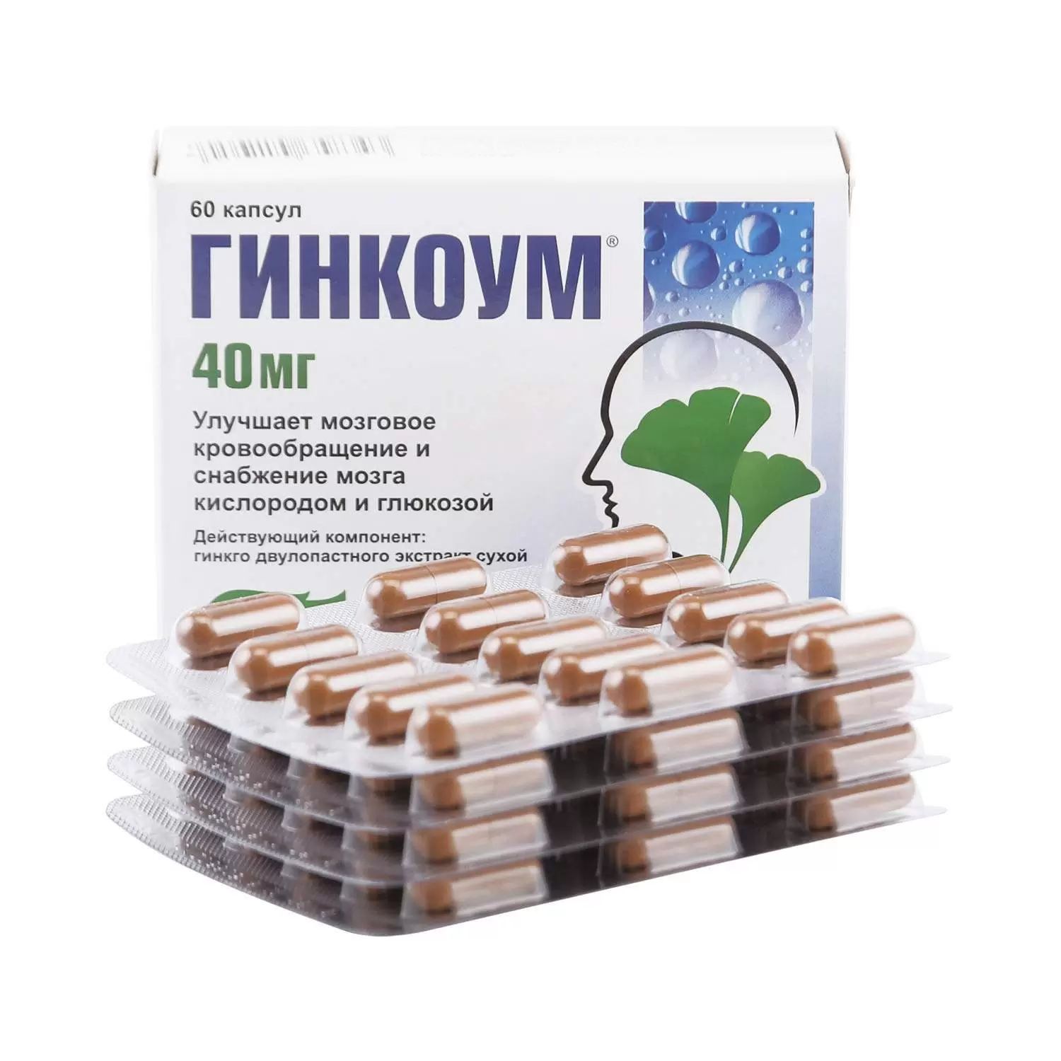 Гинкоум капс. 40мг №60